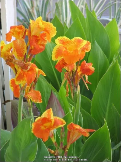 Quelle est son exposition ?