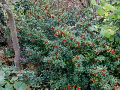 Quelle est son exposition ?