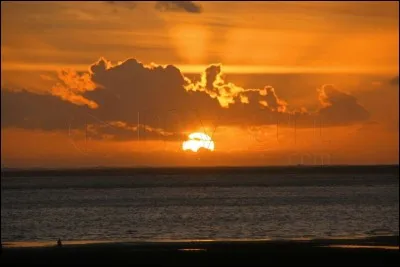Qui exerça de petits métiers, tels que berger ou gardien de grenier ?