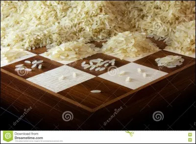 Qui mange dix grains de riz et médite dix heures par jour ?