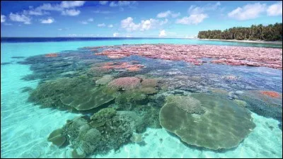 L'atoll de Bikini est situé dans l'océan Indien.