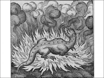 La salamandre (magique) est rpute pour ...