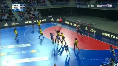 Combien de joueurs compte une équipe de handball sur le terrain ?