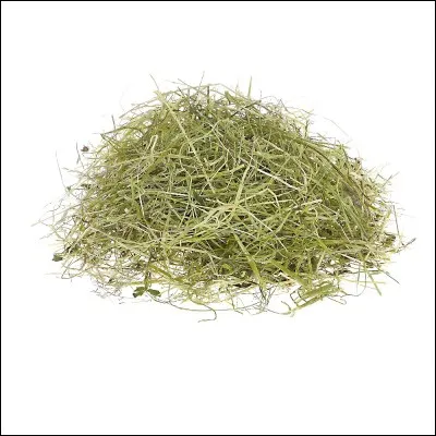 Quel aliment favorise la lactation ?