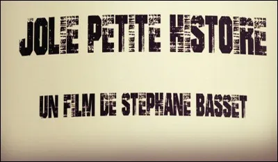 '..., jolie petite histoire' est un documentaire sur quel groupe de rock français ?
