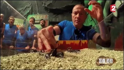 Quelle est cette épreuve ?