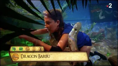 Quelle est cette épreuve ?