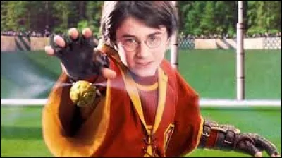 Tu finis par le poste d'attrapeur. O&ugrave; cherches-tu le vif d'or ?