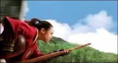 Une fois dans les airs, ton capitaine demande de jouer avec les 2 autres poursuiveurs pour voir comment tu te d&eacute;brouilles... Les autres joueurs vous bloquent la route avec notamment un batteur. Ta co&eacute;quipi&egrave;re semble en difficult&eacute;. Que fais-tu ?