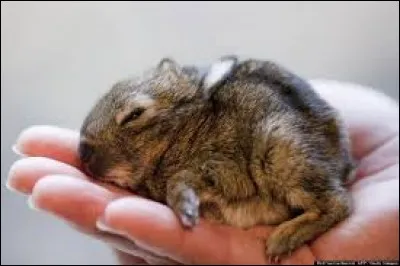 Quel est mon poids ?