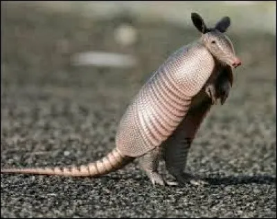 Comment s'&eacute;crit mon nom ?