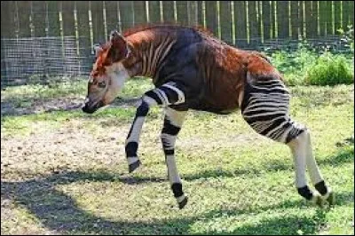 Quelle est la fourchette de ma taille ?