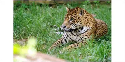 Quel est mon lieu de vie ?