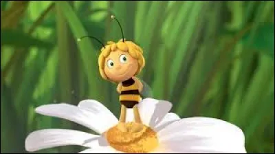 Comment s'appelle ce dessin animé ?