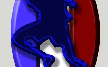 Quiz Equipe de france