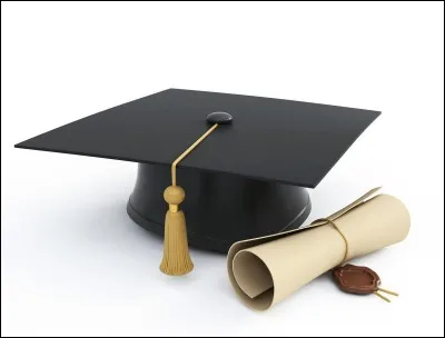 Quel diplôme possèdes-tu ?