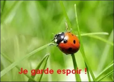 Comment dit-on espoir en anglais ?