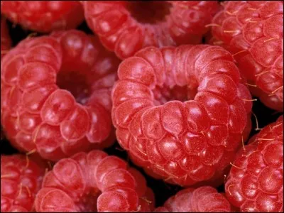 Comment dit-on framboises en espagnol ?