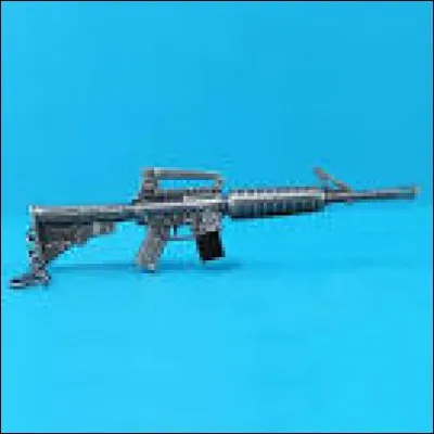 Comment s'appelle ce type d'armes ?