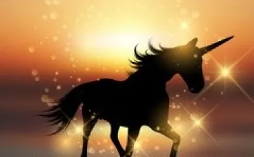 Quiz Animaux