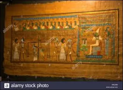 Quelle plante pousse sur les bords du Nil et sert à la fabrication du papier ?