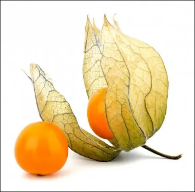 Quel est l'autre nom du physalis ?