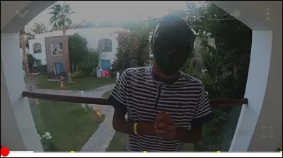 Ont-ils déjà fait une facecam ?