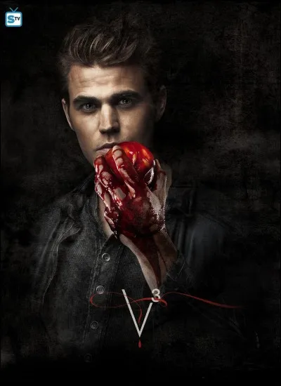 Comment s'appelle la cousine de Stefan Salvatore ?