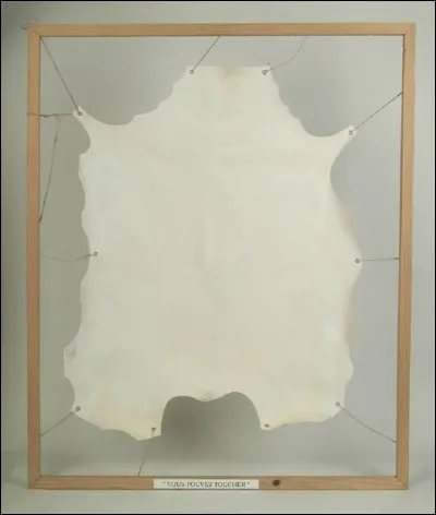 Le vélin est une peau de quoi ?