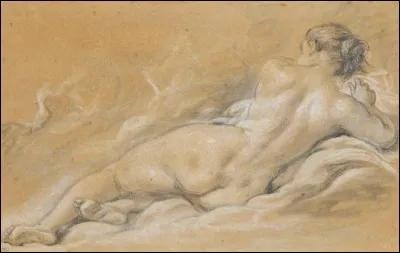 La peau est un organe.