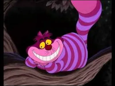 Dans quel dessin animé voit-on ce chat violet et rose ?