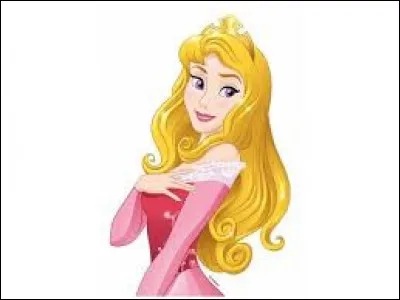 Où la princesse a-t-elle croisé son prince ?