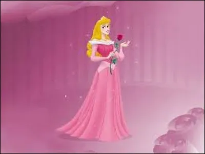 Comment renomment-elles la princesse ?