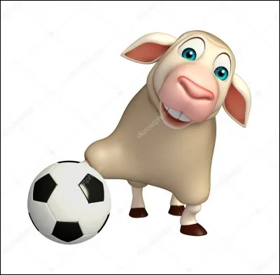 En italien, "mouton" se traduit par :