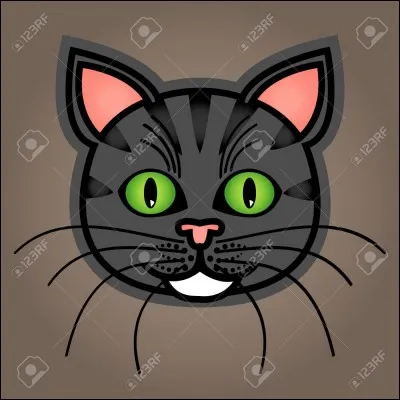 Comment traduit-on "chat" en italien ?