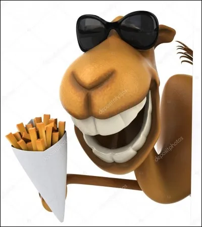 Quelle est la traduction de "chameau" ?