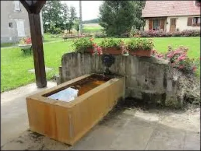 Autre curiosité du village, ce sont ses eaux ferrugineuses, qui colorent en .............. tout objet mis en contact avec elles.