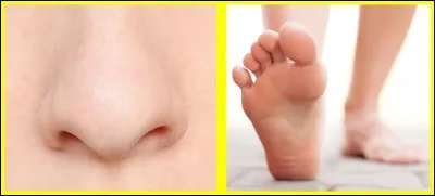 Si je vous dis : "Berthe, épouse de Pépin le Bref". Quel buzz allez-vous choisir ?