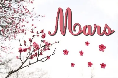 À part le mois, la barre chocolatée et le Dieu de la guerre, "Mars" est aussi le nom...