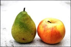 Quiz Fruits