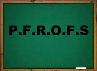 Quel chanteur joue le rôle du professeur de littérature et lettres modernes dans le film de Patrick Schulmann 'P.R.O.F.S' ?