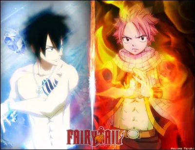 Grey et Natsu font une mission, mais ne reviennent pas au bout de trois jours. Erza, Lucy et les autres s'en inquiètent alors. 
Pour quelle raison ne sont-ils pas revenus ?