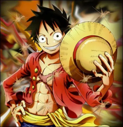 Qui est fan de Luffy