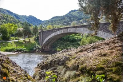 Quelle est cette rivière, encore sauvage, qui prend sa source au sud de l'Auvergne et dont les gorges voient passer une eau tumultueuse ?