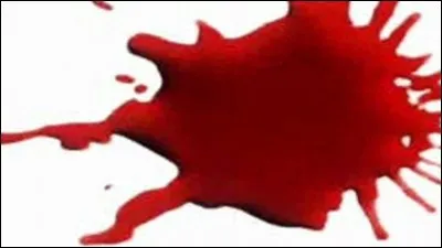 Complétez le proverbe - Bon sang ne saurait :