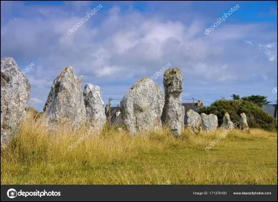 Ce sont 59 menhirs sur un espace de 67 m&egrave;tres sur 19 m&egrave;tres. Plac&eacute;s en haut d'une colline, ils surplombent la Baltique et sont dispos&eacute;s en forme de bateau. O&ugrave; sont-ils ?