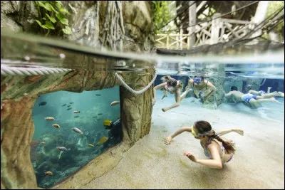 Quelle "collectivité" a fortement participé à l'ouverture du Center Parcs dans le nord-Vienne en 2015?