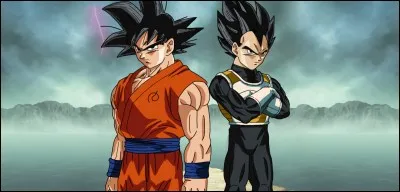 Quelle est la race de Son Goku et Vegeta ?