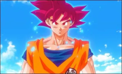 Quelle transformation Son Goku utilise-t-il pour combattre Beerus ?