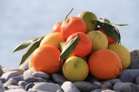 Quiz Fruits